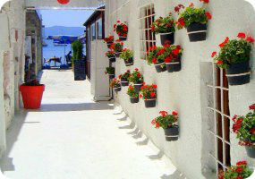 Shore Excursions in Turkey, Bodrum