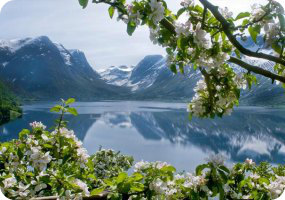 Hellesylt, Shore Excursions Norway