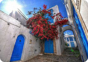 Shore Excursions in Tunis